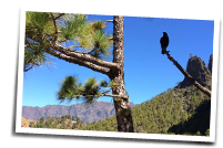 La Palma Wanderwege